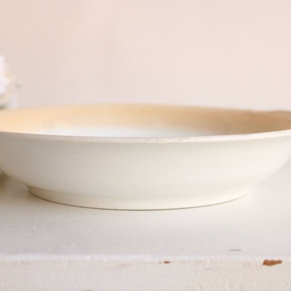 Vintage 1940s 1950s Serving Bowl, Porcelain Decorative Wild Flower Painted China - Picture 5 of 10